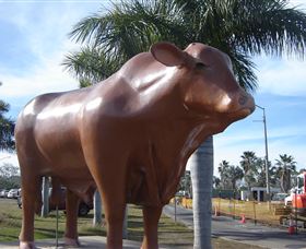 Rockhampton Bull Statues - Tourism Caloundra 3