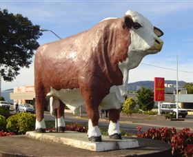 Rockhampton Bull Statues - Tourism Caloundra 2