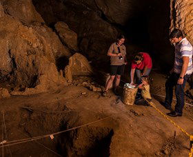 Capricorn Caves - Tourism Caloundra 2