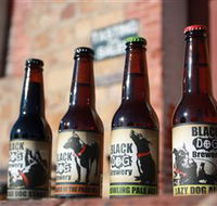 Black Dog Brewery - Tourism Caloundra