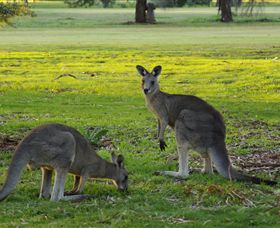 Benalla Golf Club - Tourism Caloundra 1