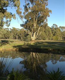 Benalla Golf Club - Tourism Caloundra 5