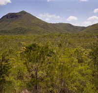 Kutini-Payamu Iron Range National Park CYPAL - Tourism Caloundra
