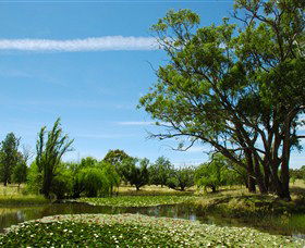 Burrumbuttock ACT Tourism Caloundra