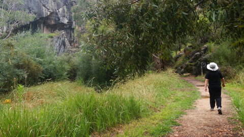 Borenore Karst Conservation Reserve - Tourism Caloundra 3
