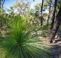 Brisbane Ranges National Park - Tourism Caloundra