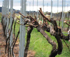 Stockmans Ridge Wines - Tourism Caloundra 2