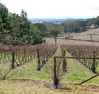 Habitat Vineyard - Tourism Caloundra