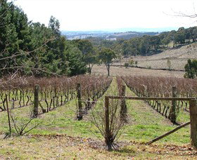 Habitat Vineyard - Tourism Caloundra 0