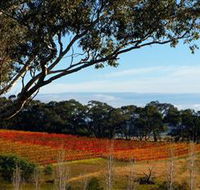 Bloodwood Estate - Tourism Caloundra