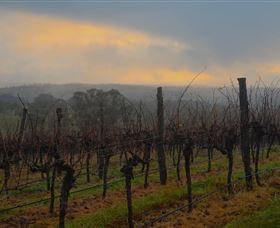 Bloodwood Estate - Tourism Caloundra 1