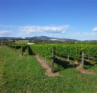 Hedberg Hill Wines - Tourism Caloundra