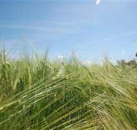 150 Degrees East Meridian - Tourism Caloundra