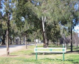 Memorial Avenue In Cowra - Tourism Caloundra 1