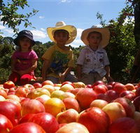 Bonny Glen Fruits - Tourism Caloundra