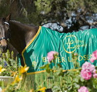 Living Legends The International Home of Rest for Champion Horses - Tourism Caloundra