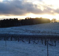 Charles Sturt University Winery - Tourism Caloundra