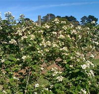 Huntley Berry Farm - Tourism Caloundra