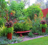 Out of Town Nursery and Humming Garden - Tourism Caloundra