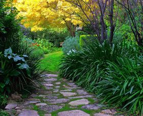 Out Of Town Nursery And Humming Garden - Tourism Caloundra 2