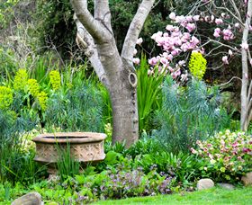 Out Of Town Nursery And Humming Garden - Tourism Caloundra 4