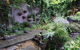Out Of Town Nursery And Humming Garden - thumb 6