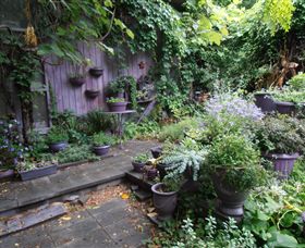 Out Of Town Nursery And Humming Garden - Tourism Caloundra 6