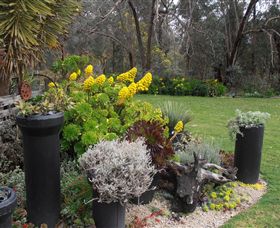 Out Of Town Nursery And Humming Garden - Tourism Caloundra 5