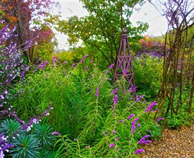 Out Of Town Nursery And Humming Garden - Tourism Caloundra 7