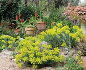 Out Of Town Nursery And Humming Garden - Tourism Caloundra 8