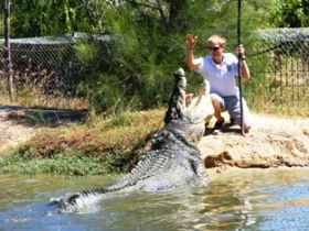 Koorana Crocodile Farm - Tourism Caloundra 1