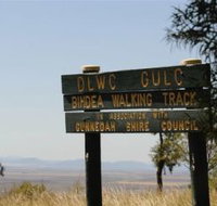 Bindea Walking Track - Tourism Caloundra