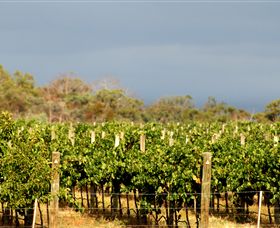 Amulet Vineyard And Beechworth Cider - Tourism Caloundra 7