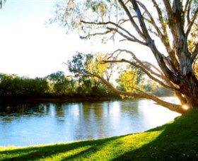 Albury - Murray River Precinct - Tourism Caloundra 0
