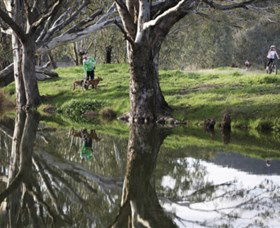 Albury - Murray River Precinct - Tourism Caloundra 3