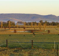 Holbrook Landcare Self-Drive Eco Tour - Tourism Caloundra