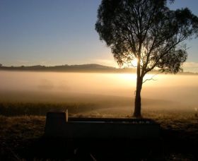 Patina Wines - Tourism Caloundra 0