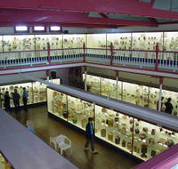 National Museum of Australian Pottery - Tourism Caloundra