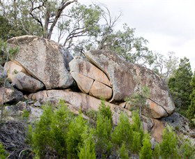 Frog Rock - Tourism Caloundra 1