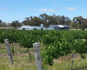 Short Sheep Micro-Winery - Tourism Caloundra 1