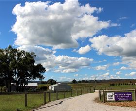 Short Sheep Micro-Winery - Tourism Caloundra 8