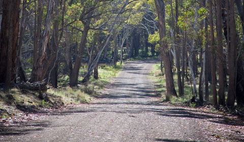 Coolah Tops National Park - Tourism Caloundra 1