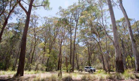 Coolah Tops National Park - Tourism Caloundra 0
