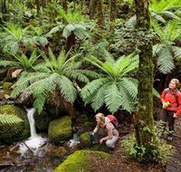 Baw Baw National Park - Tourism Caloundra