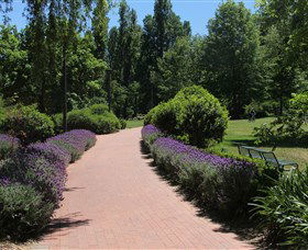 Glebe Park - Tourism Caloundra 1