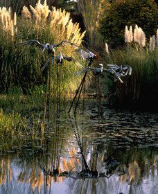 Commonwealth Park - Tourism Caloundra 3
