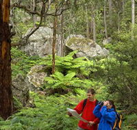 Centennial Glen - Tourism Caloundra