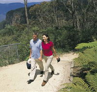 Blue Mountains Walking Tracks - Tourism Caloundra