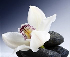 H2O Spa - Tourism Caloundra 1
