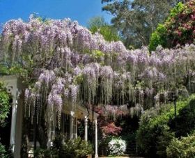 Mount Wilson NSW Tourism Caloundra